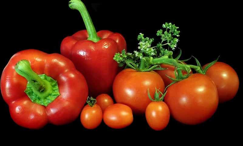 Pepper plant