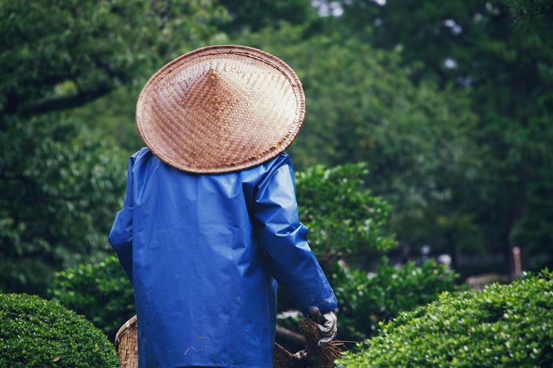 Local Gardening Community