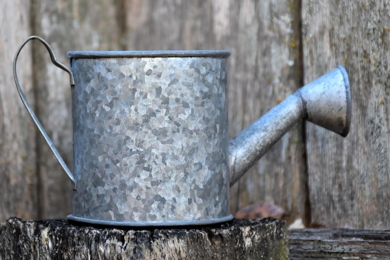 Watering Can