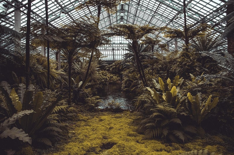 Botanical Consultancy